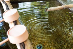 soluciones sustentables en tratamiento de agua en León Guanajuato